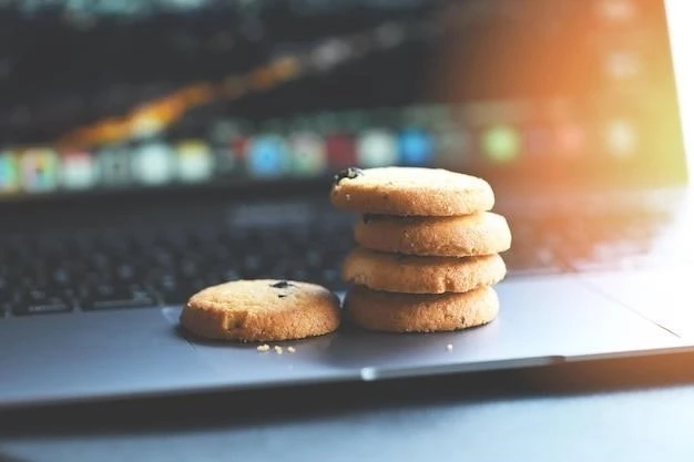 Все, что вам нужно знать о cookie в браузере: основные понятия и функции